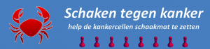 Schermafbeelding 2016-02-03 om 23.19.58
